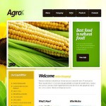  Fehér és Zöld Mezõgazdaság honlap sablon Webáruház készítés