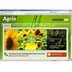 Webáruház készítés  Zöld Mezõgazdaság honlap sablon 