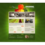 Webáruház készítés  Green u0026 Black Farm honlap sablon 