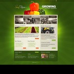  Green u0026 Black Farm honlap sablon Webáruház készítés