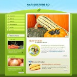 Webáruház készítés  Zöld növényi honlap sablon 