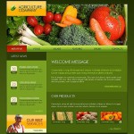 Green u0026 Black Zöldség honlap sablon Webáruház készítés
