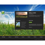 Webáruház készítés  Fekete Farm honlap sablon 
