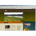 Webáruház készítés  Fekete- Zöld Farm honlap sablon 