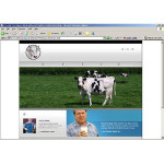Webáruház készítés  Fehér és fekete Szarvasmarha Farm honlap sablon 
