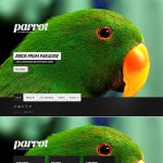 webáruház készítés  Fekete és zöld madarak honlap sablon 