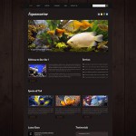 webáruház készítés  Black u0026 Brown Fish honlap sablon 