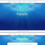 webáruház készítés  Blue u0026 White Dolphin honlap sablon 
