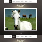 webáruház készítés  Black Horse honlap sablon 