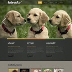  Fekete és zöld Dog honlap sablon webáruház készítés