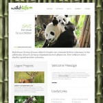 webáruház készítés  Fehér Animal Shelter honlap sablon 
