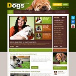webáruház készítés  White u0026 Black Dog honlap sablon 