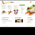 webáruház készítés  White Egzotikus kisállatok honlap sablon 