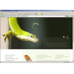 webáruház készítés  Fehér és fekete Reptile honlap sablon 