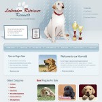  White u0026 Grey Dog honlap sablon webáruház készítés