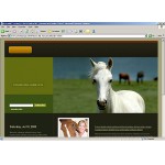 webáruház készítés  Green u0026 Black Horse honlap sablon 