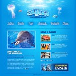 webáruház készítés  Cián u0026 Blue Dolphin honlap sablon 