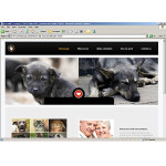 webáruház készítés  Fehér és szürke Animal Shelter honlap sablon 