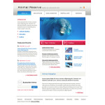 webáruház készítés  White Dolphin honlap sablon 