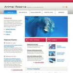 webáruház készítés  White Dolphin honlap sablon 