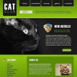  Green u0026 Black Cat honlap sablon webáruház készítés