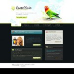 webáruház készítés  Black u0026 White Birds honlap sablon 
