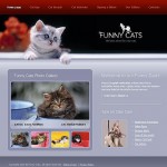 webáruház készítés  Grey u0026 Black Cat honlap sablon 