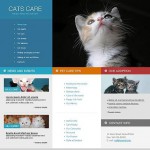  White u0026 Grey Cat honlap sablon webáruház készítés