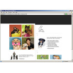webáruház készítés  Fehér és fekete Pet ülõ honlap sablon 