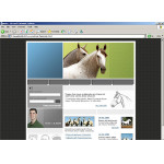 webáruház készítés  Fehér és szürke ló honlap sablon 