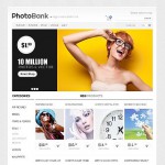 webáruház készítés  Fénykép Bank 