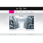 webáruház készítés  Fehér és szürke fotós Portfolio Website Template 