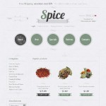  Spice Shop Webáruház készítés