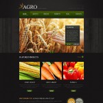  Fekete Farm honlap sablon Webáruház készítés