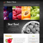  Black u0026 White Farm honlap sablon Webáruház készítés