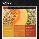 Webáruház készítés  Black u0026 Orange Mezõgazdaság honlap sablon 