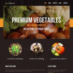 Webáruház készítés  Black u0026 Brown zöldség honlap sablon 