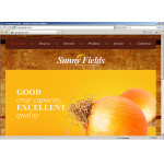 Webáruház készítés  Orange u0026 Brown Mezõgazdaság honlap sablon 