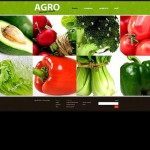  Green u0026 Black Zöldség honlap sablon Webáruház készítés