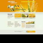  Narancs -fehér Mezőgazdaság honlap sablon Webáruház készítés