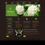  Fekete Mezőgazdaság honlap sablon Webáruház készítés