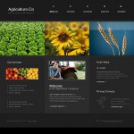  Fekete Mezõgazdaság honlap sablon Webáruház készítés