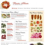  White Kertészet honlap sablon Webáruház készítés