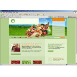 Webáruház készítés  Zöld gyümölcs honlap sablon 