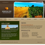 Webáruház készítés  Fekete és zöld növényi honlap sablon 