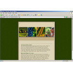 Webáruház készítés  Fekete és zöld Winery honlap sablon 