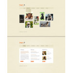 webáruház készítés  Sárga -fehér Animal Shelter honlap sablon 