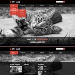  Black u0026 Grey Cat honlap sablon webáruház készítés