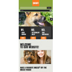 webáruház készítés  Zöld Dog honlap sablon 