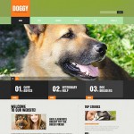  Zöld Dog honlap sablon webáruház készítés